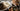 Handpan Sales Statistics and Growth Trends Over the Past 5 Years - Sound Artist