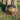 Prana Rising Handpan Instrument D Celtic 9 Notes - Sound Artist