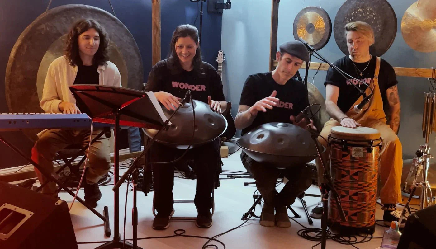 Acoustic Synthesis and Science of Handpan Sounds