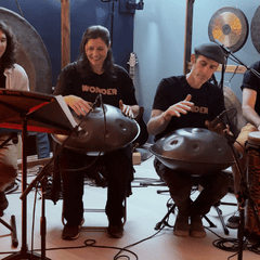 Acoustic Synthesis and Science of Handpan Sounds - Sound Artist