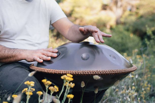 D Kurd Scale - Stainless Steel Handpan Professional Series - Sound Artist