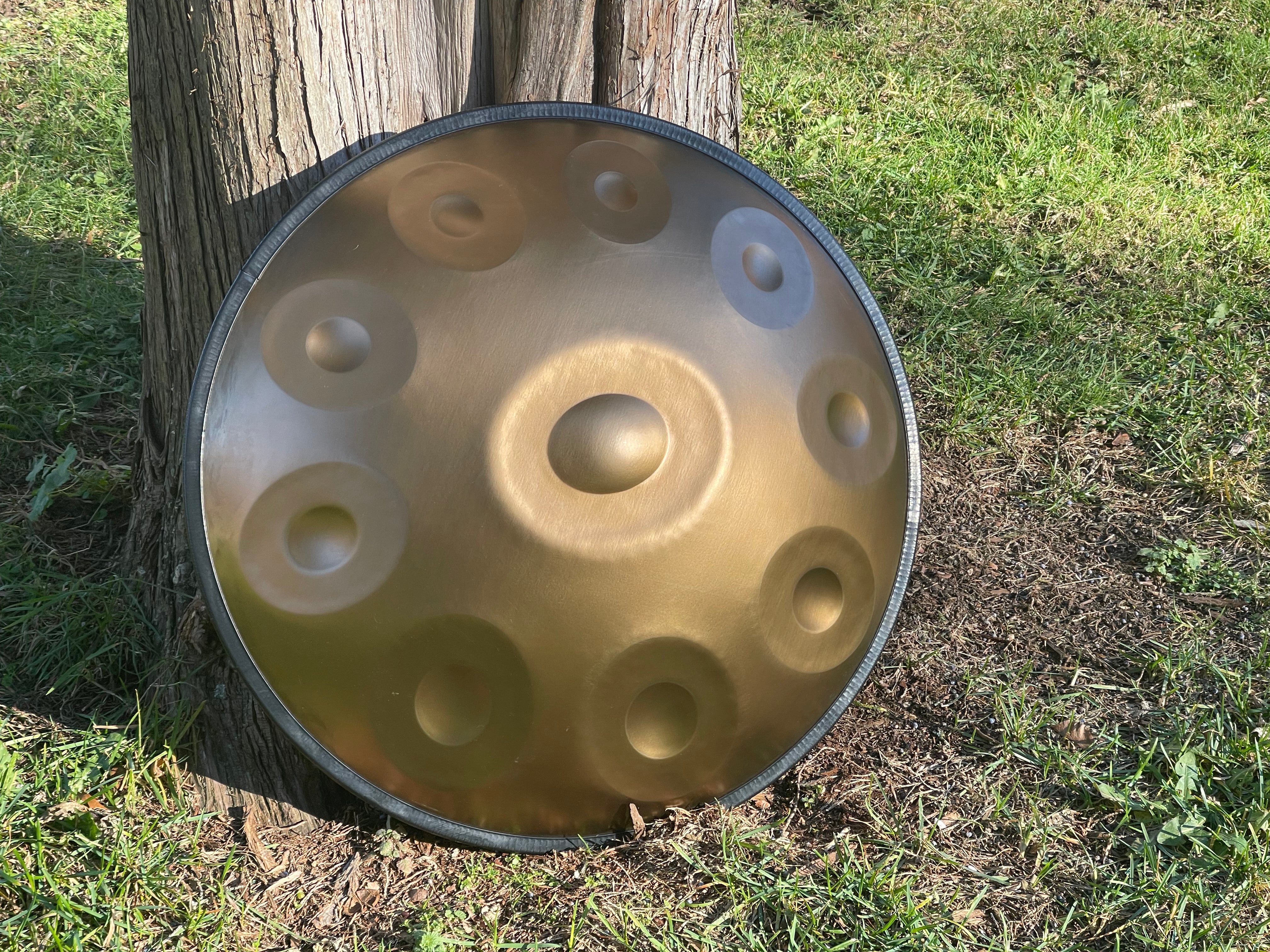 Select Beginner Handpan Instrument Gold D Minor Kurd 10 Notes