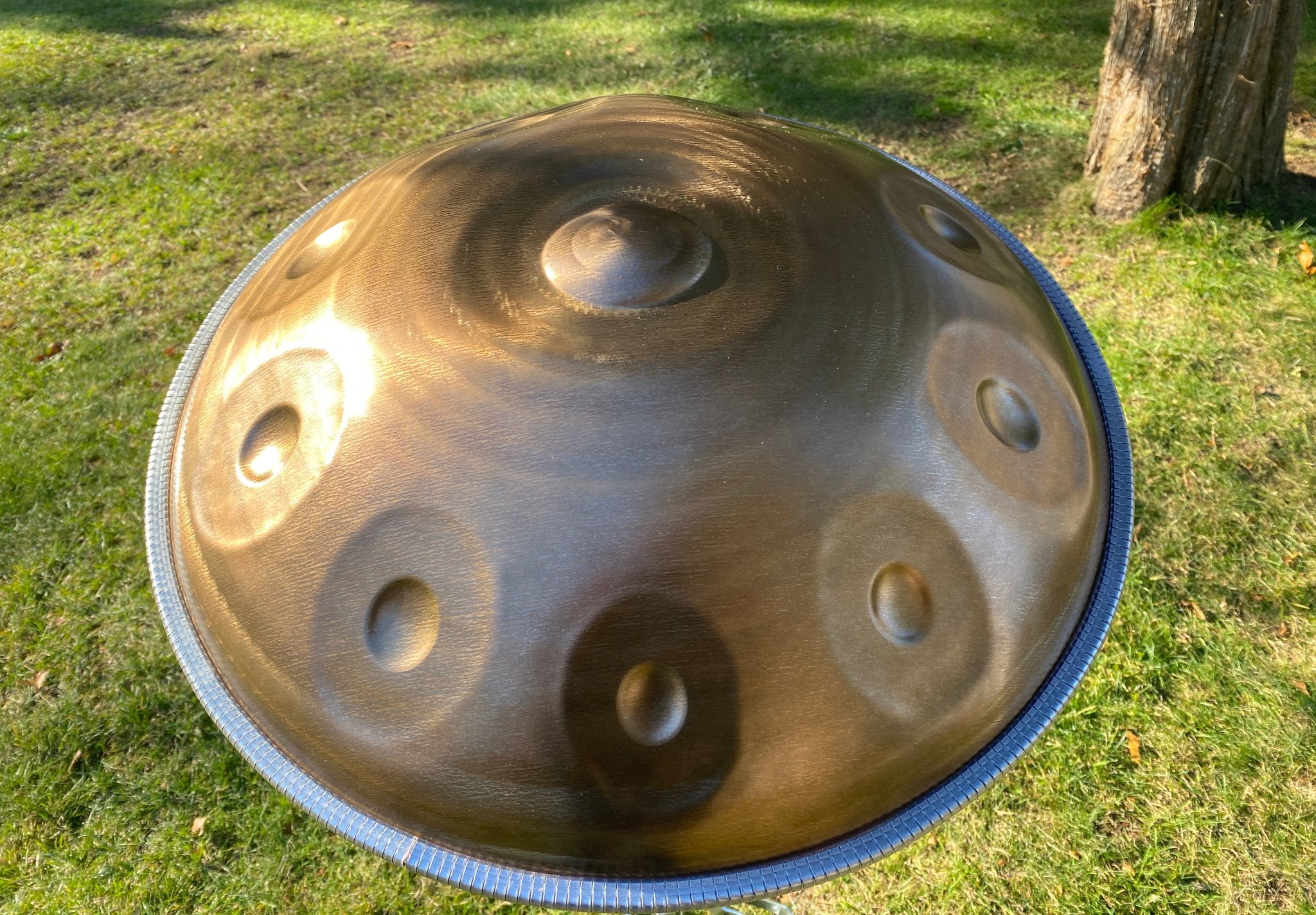 Prana Rising Handpan Instrument D Minor Kurd 10 Notes - Sound Artist