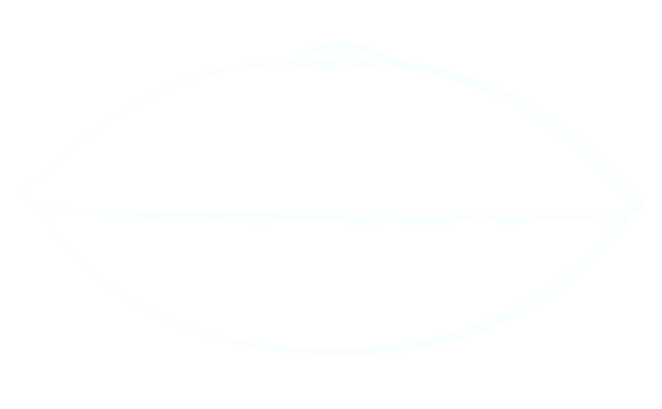 Sound Artist